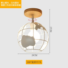 Load image into Gallery viewer, Ceiling Pendant Lights