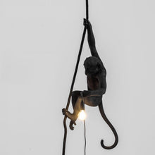 Load image into Gallery viewer, Monkey Light